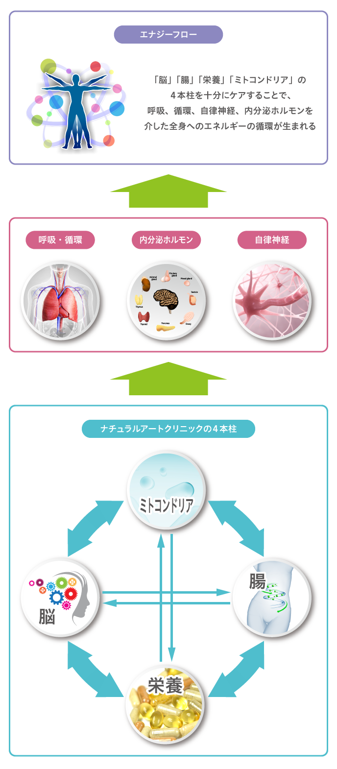 ナチュラルアートクリニックの4本柱とエナジーフロー